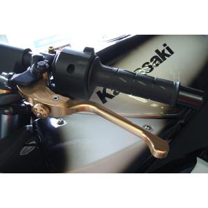 ペイトンプレイス Peyton Place ステンレス・バッテリーケース SR400