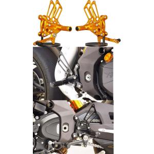 MV AGUSTA アグスタ F4 (Y13-15) フェンダーレスキット SFA-K05BK