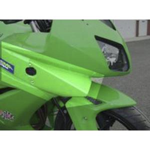 Ninja250R サイドカウル グリーン 右のみ Ninja250R サイドカウル グリーン 右のみ Ninja250R サイドカウル