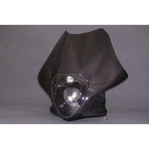 A-TECH エーテック ビキニカウル ルナソー...の商品画像