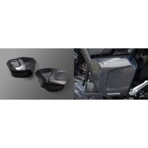 ジータレーシングWR155R 、WR250R/X ‘07-20 ウィンドシールド 31AB8VBLDUL.jpg