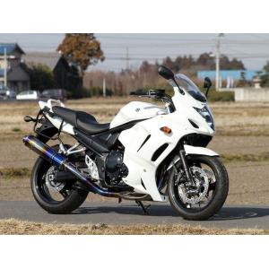 r’s gear アールズギア ワイバン フルエキゾースト シングルタイプマフラー タイプ：真円／ド...