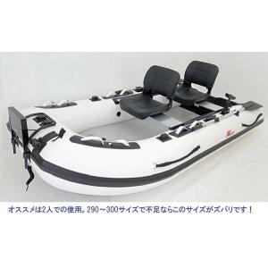 AFボート(AFBOAT) AF290Vライト...の詳細画像3
