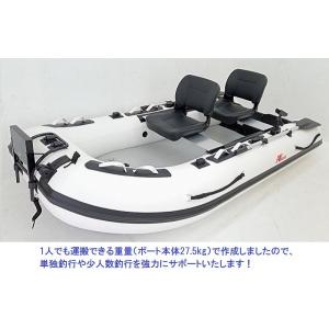 AFボート AF290Vライト コンパクトドー...の詳細画像2