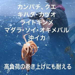 取り寄せ品 BMOジャパン リチウムイオンバッ...の詳細画像2