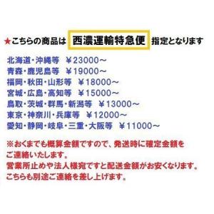 スズキ 20馬力 船外機 エンジン DF20A...の詳細画像1