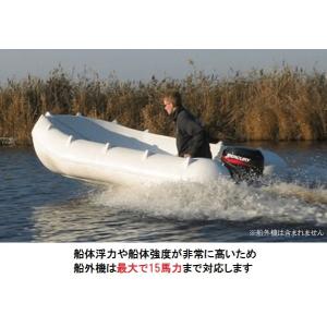 自宅直送 Whalyボート(ウォーリーボート)...の詳細画像2