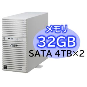 NEC Express5800/D/T110m Xeon E-2414 4C/32GB/SATA 4TB*2 RAID1/W2022/タワー 3年保証 NP8100-2995YP8Yの商品画像