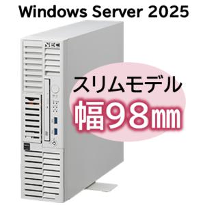 Express5800/D/T110m-S Xeon 6315P 4C/16GB/SAS 600GB 2 RAID1/W2025/タワー NP8100-3024YPCY
