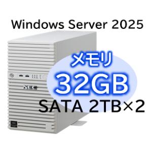 NEC Express5800/D/T110m Xeon 6315P 4C/32GB/SATA 2T...