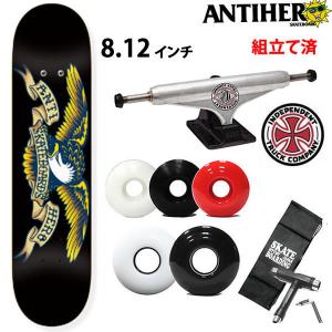 CELINE セリーヌ スケートボード 49C046AEM.38SI メンズ ロゴ