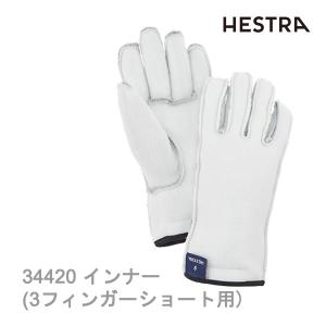 HESTRA（ヘストラ） スキーグローブ フィリップ ラックス エコクイ