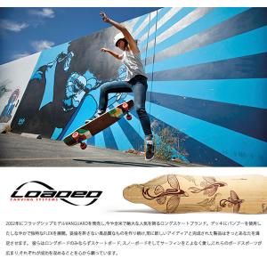 ロングスケートボード ローデッド ダービッシュ...の詳細画像3