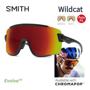 SMITH（スミス） サングラス ワイルドキャット レンズ 2セット付き