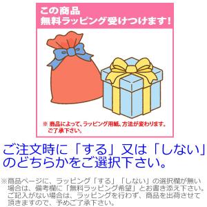 インラインスケート 子供 K2 ケーツー MA...の詳細画像5