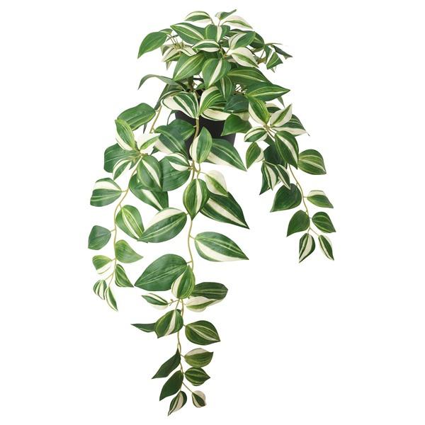 [IKEA/イケア/通販]FEJKA フェイカ人工観葉植物, 室内/屋外用/トラデスカンチア・ゼブリ...