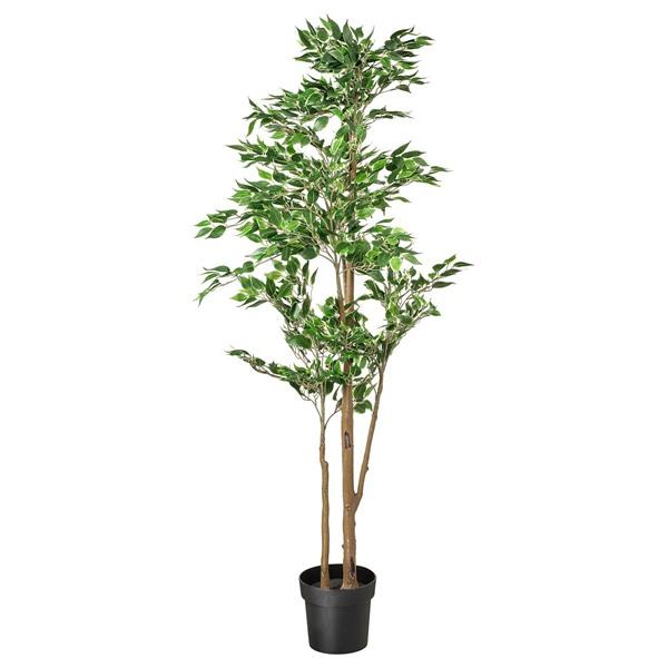 [IKEA/イケア/通販]FEJKA フェイカ人工観葉植物, 室内/屋外用 ベンジャミン,21 cm...