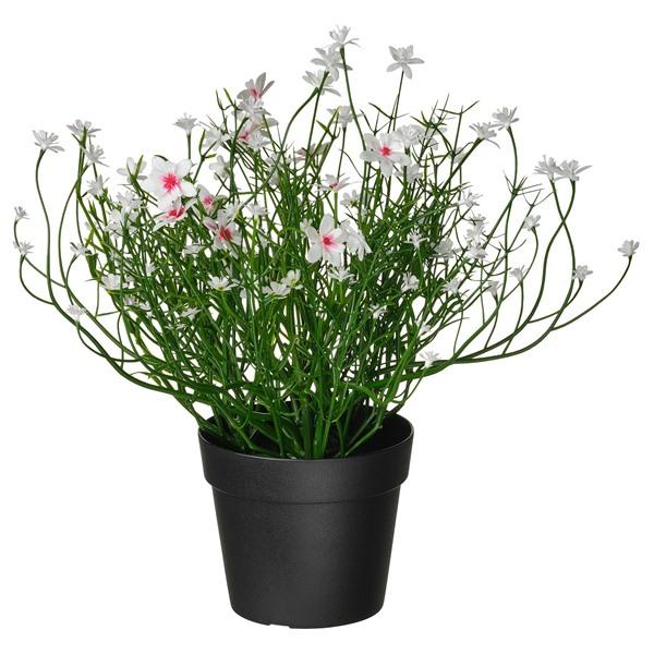 [IKEA/イケア/通販]FEJKA フェイカ人工観葉植物, 室内/屋外用/Baby’s breat...