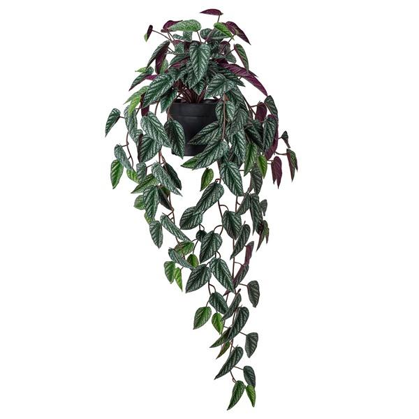 [IKEA/イケア/通販]FEJKA フェイカ人工観葉植物, 室内/屋外用 シッサス/つり下げ型,1...