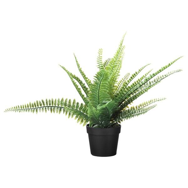 [IKEA/イケア/通販]FEJKA フェイカ人工観葉植物, 室内/屋外用 アビス,9 cm[D](...