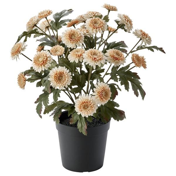 [IKEA/イケア/通販]FEJKA フェイカ人工観葉植物, 室内/屋外用/キク ライトオレンジ,1...