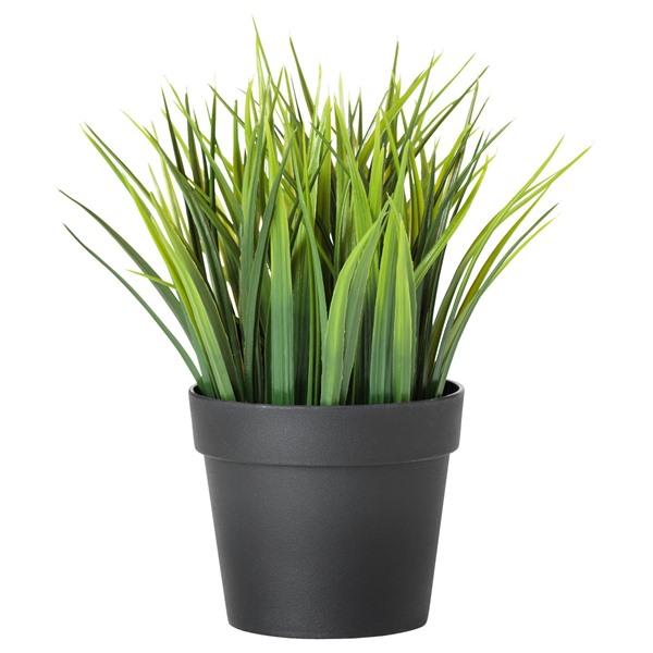 [IKEA/イケア/通販]FEJKA フェイカ人工観葉植物, 室内/屋外用 グラス,9 cm[A](...