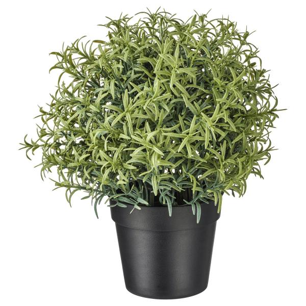 [IKEA/イケア/通販]FEJKA フェイカ 人工観葉植物, ローズマリー, 9 cm[B](40...