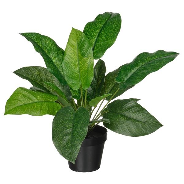 [IKEA/イケア/通販]FEJKA フェイカ人工観葉植物, 室内/屋外用 カラテア,12 cm[B...