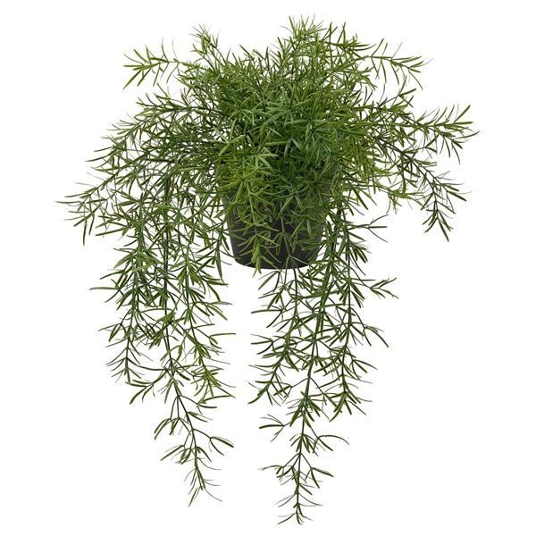 [IKEA/イケア/通販]FEJKA フェイカ人工観葉植物, 室内/屋外用 アスパラガス/つり下げ型...