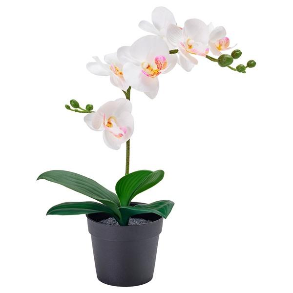 [IKEA/イケア/通販]FEJKA フェイカ人工観葉植物, Orchid ホワイト,9 cm[C]...