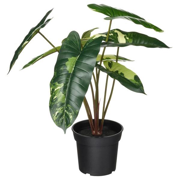 [IKEA/イケア/通販]FEJKA フェイカ人工観葉植物, 室内/屋外用 フィロデンドロン/グリー...