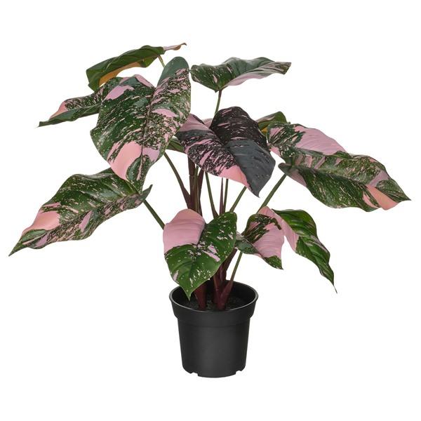 [IKEA/イケア/通販]FEJKA フェイカ人工観葉植物, 室内/屋外用 フィロデンドロン/グリー...