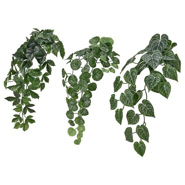 [IKEA/イケア/通販]FEJKA フェイカ人工植物3点セット, ウォールホルダー付き/室内/屋外...