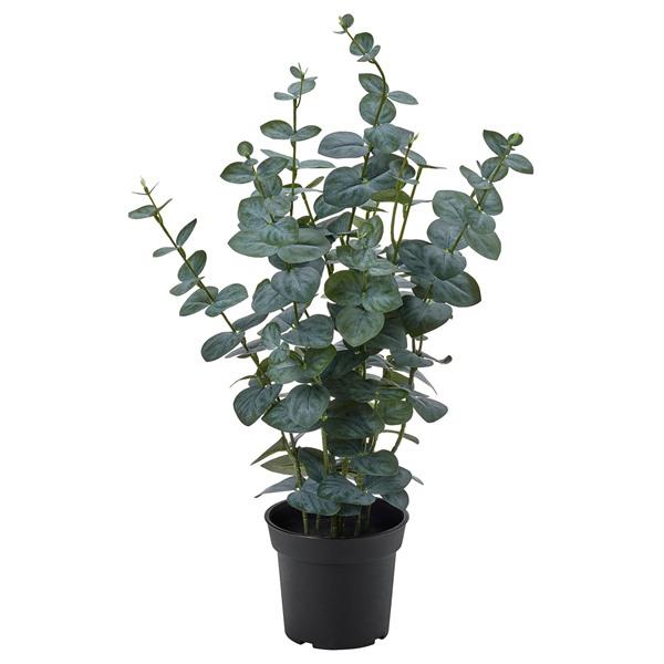 [IKEA/イケア/通販]FEJKA フェイカ人工観葉植物, 室内/屋外用 ユーカリ,15 cm[D...