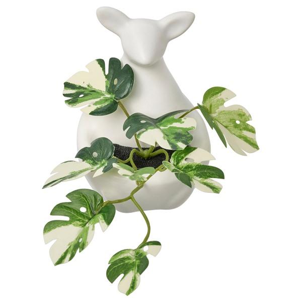 [IKEA/イケア/通販]FEJKA フェイカ人工観葉植物, カンガルー[A](70630048)