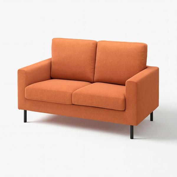 [IKEA/イケア/通販]SALTSJOBADEN サルトショバーデン2人掛けコンパクトソファ, ト...