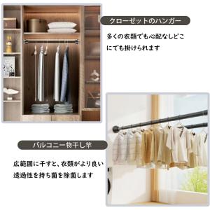突っ張り棒 強力 つっぱり棒つっぱり式 ハンガ...の詳細画像3