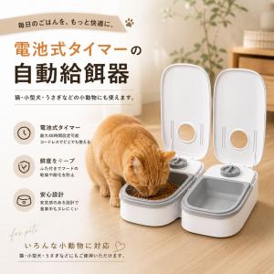 自動給餌器 タイマー式 犬 猫 1食 2食 自動餌やり機 電池式 留守番 ペット 小動物