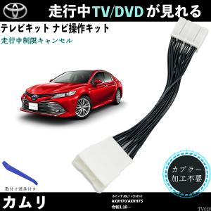 ALPINE（アルパイン） KTX-X9-CM-70 カムリ用 9インチカーナ ビッグX