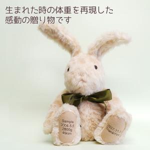 足裏刺繍入り ボーンウェイト ラビット うさぎ...の詳細画像2