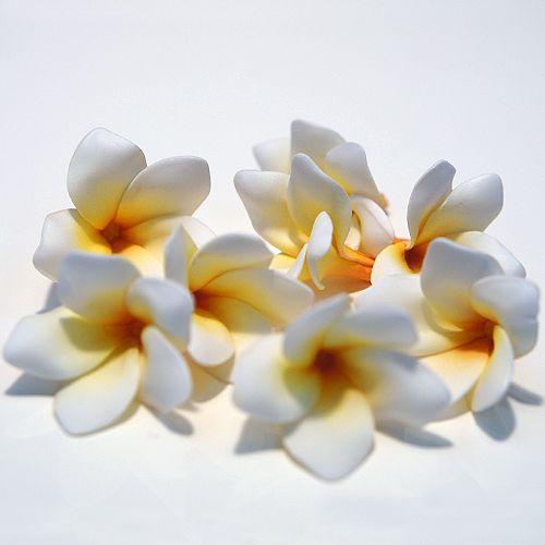 プルメリア スモール