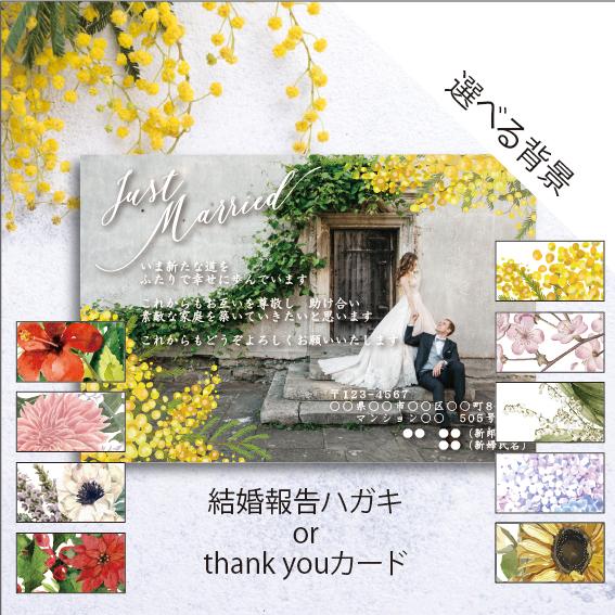 写真入り【結婚報告ハガキ/thank you】印刷会社仕上げ メッセージ お礼 結婚報告 ナチュラル...