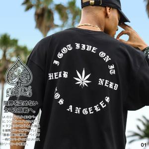 ACE FLAG Tシャツ 半袖 大きいサイズ エースフラッグ ビッグシルエット オーバーサイズ 大麻 マリファナ ヘンプ ロゴ｜本格派大人のB系XL&零ZERO