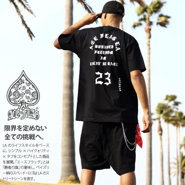 ACE FLAG 上下セット 半袖 ブランド Tシャツ ハーフパンツ 上下 大きいサイズ エースフラ...