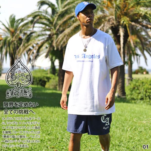 ACE FLAG 上下セット 半袖 ブランド Tシャツ ハーフパンツ 上下 大きいサイズ エースフラ...