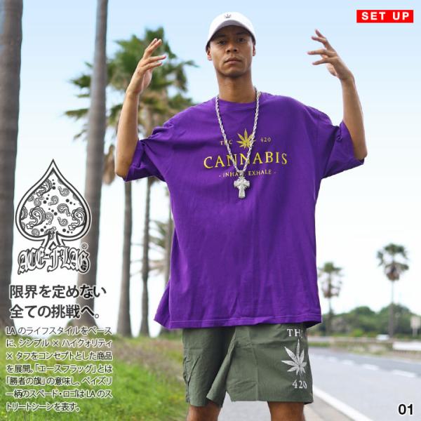 ACE FLAG 上下セット 半袖 ブランド Tシャツ ハーフパンツ 大きいサイズ エースフラッグ ...