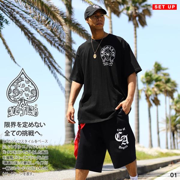 ACE FLAG 上下セット 半袖 ブランド Tシャツ ハーフパンツ 大きいサイズ エースフラッグ ...