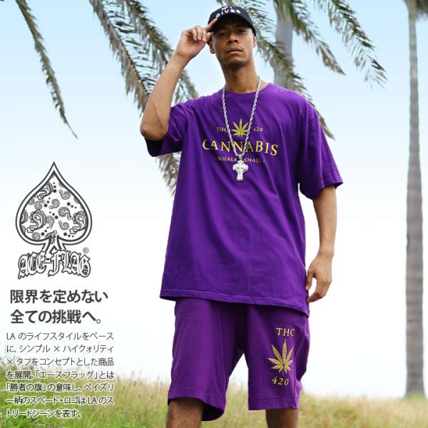 ACE FLAG 上下セット 半袖 Tシャツ ハーフパンツ 大きいサイズ エースフラッグ セットアッ...