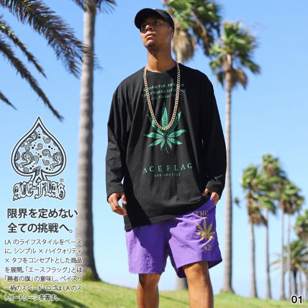 ACE FLAG 上下セット 長袖 ブランド ロンT ハーフパンツ 上下 大きいサイズ エースフラッ...