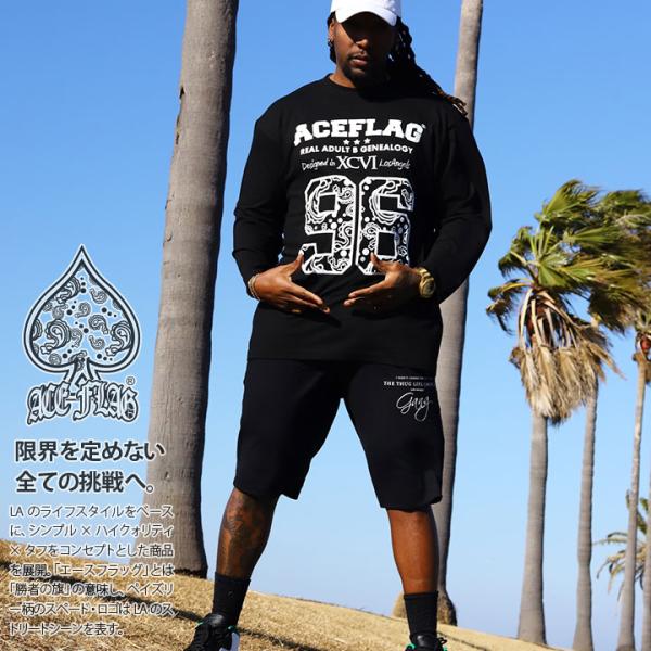 ACE FLAG 上下セット 長袖 Tシャツ ロンT ブランド スウェット ハーフパンツ 大きいサイ...